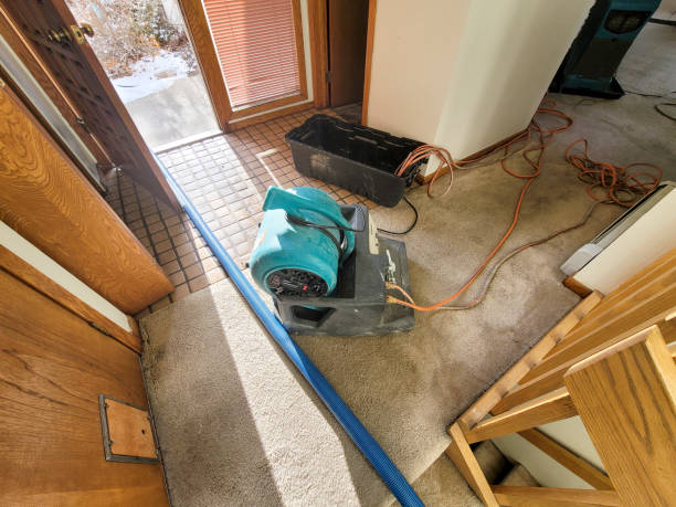 Best Commercial water damage restoration  in Pablo, MT