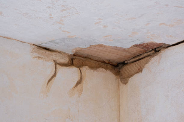 Best Ceiling water damage repair  in Pablo, MT