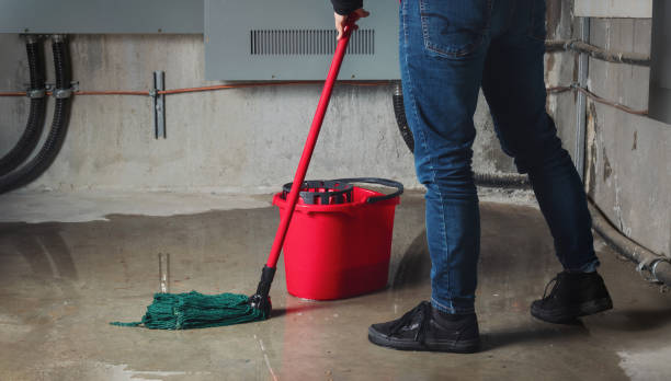 Best Mold removal after water damage  in Pablo, MT