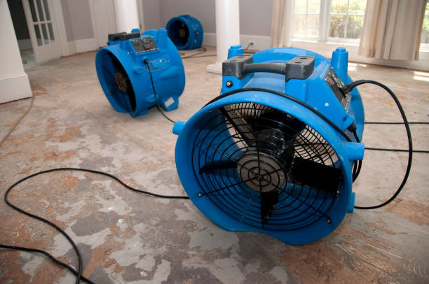 Best Local water damage restoration  in Pablo, MT