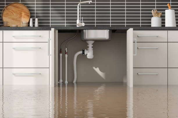 Best 24-hour water damage restoration  in Pablo, MT