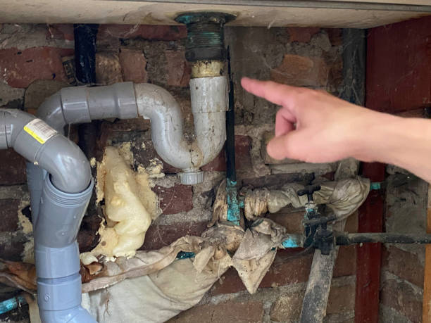 Best Water damage restoration near me  in Pablo, MT