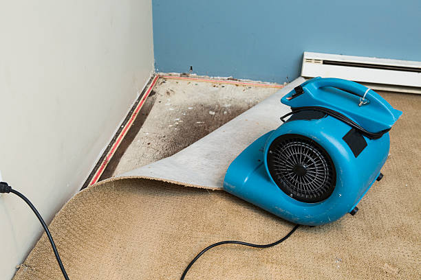Best Sewage cleanup and water damage restoration  in Pablo, MT